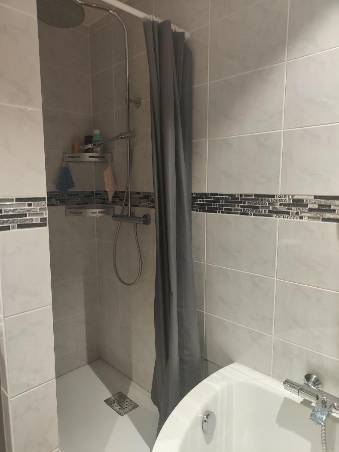 Très grand appartement de 76m2 à Strasbourg Estrasburgo Exterior foto