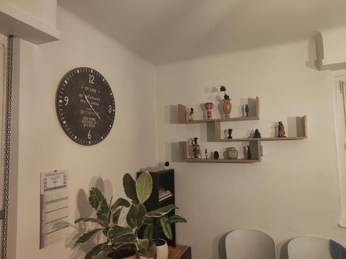 Très grand appartement de 76m2 à Strasbourg Estrasburgo Exterior foto